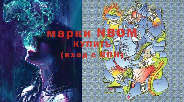 шишки Осташков