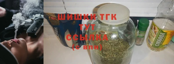 шишки Осташков