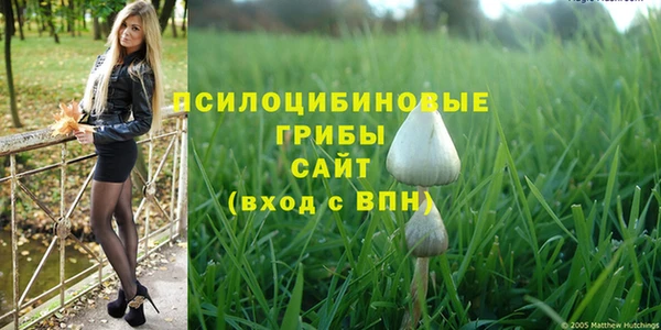 ALPHA PVP Осинники