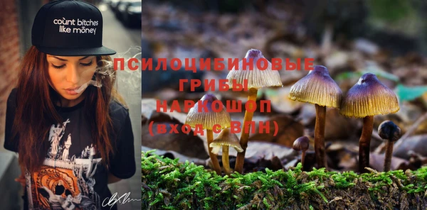 шишки Осташков