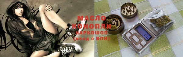 шишки Осташков