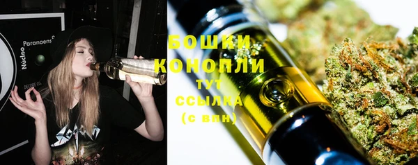 шишки Осташков