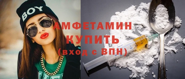 шишки Осташков