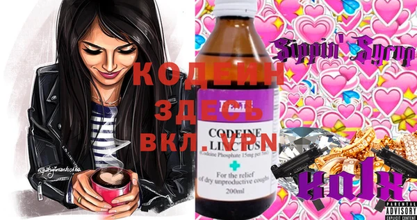шишки Осташков