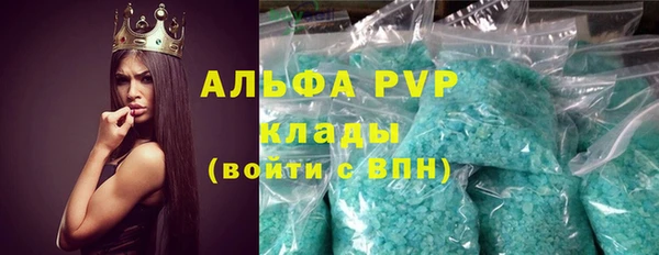 шишки Осташков