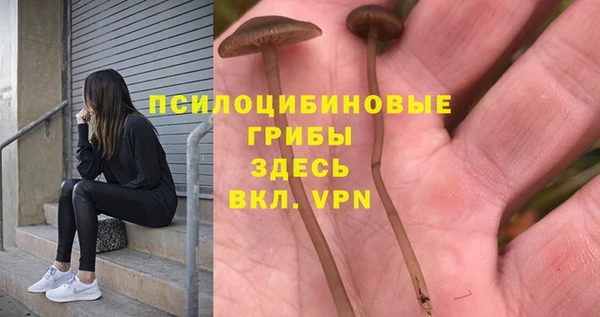 ALPHA PVP Осинники