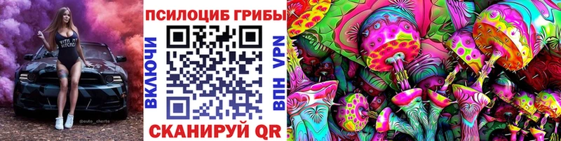 Галлюциногенные грибы Psilocybine cubensis  Углегорск 